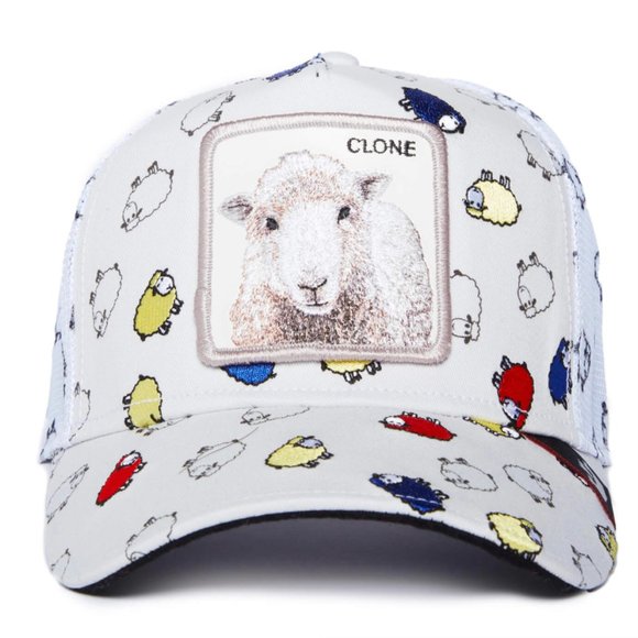 Goorin Bros. Limited Trucker Hat - CLONE - Picture 1 of 6